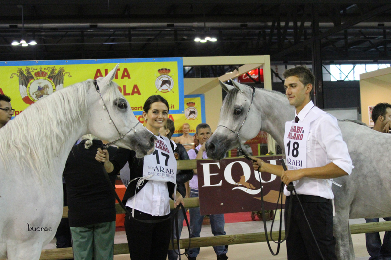 MAGIC FARESSA OWNER SIARD ARABIANS FRANCE